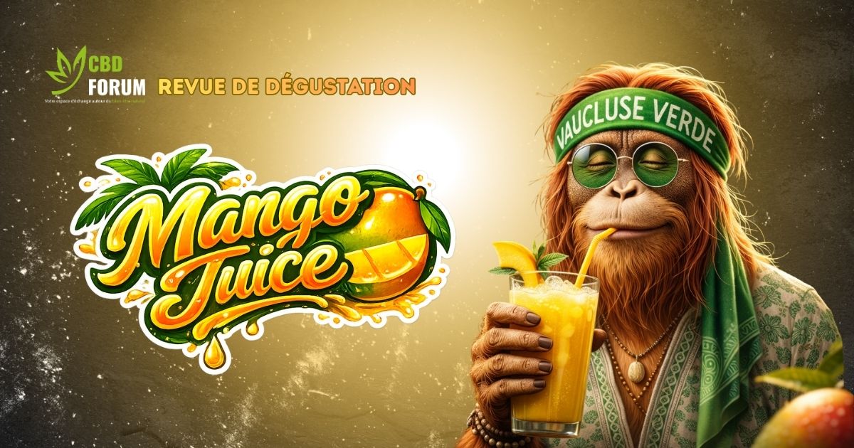 fleur cbd mango juice glasshouse vaucluse avis degustation