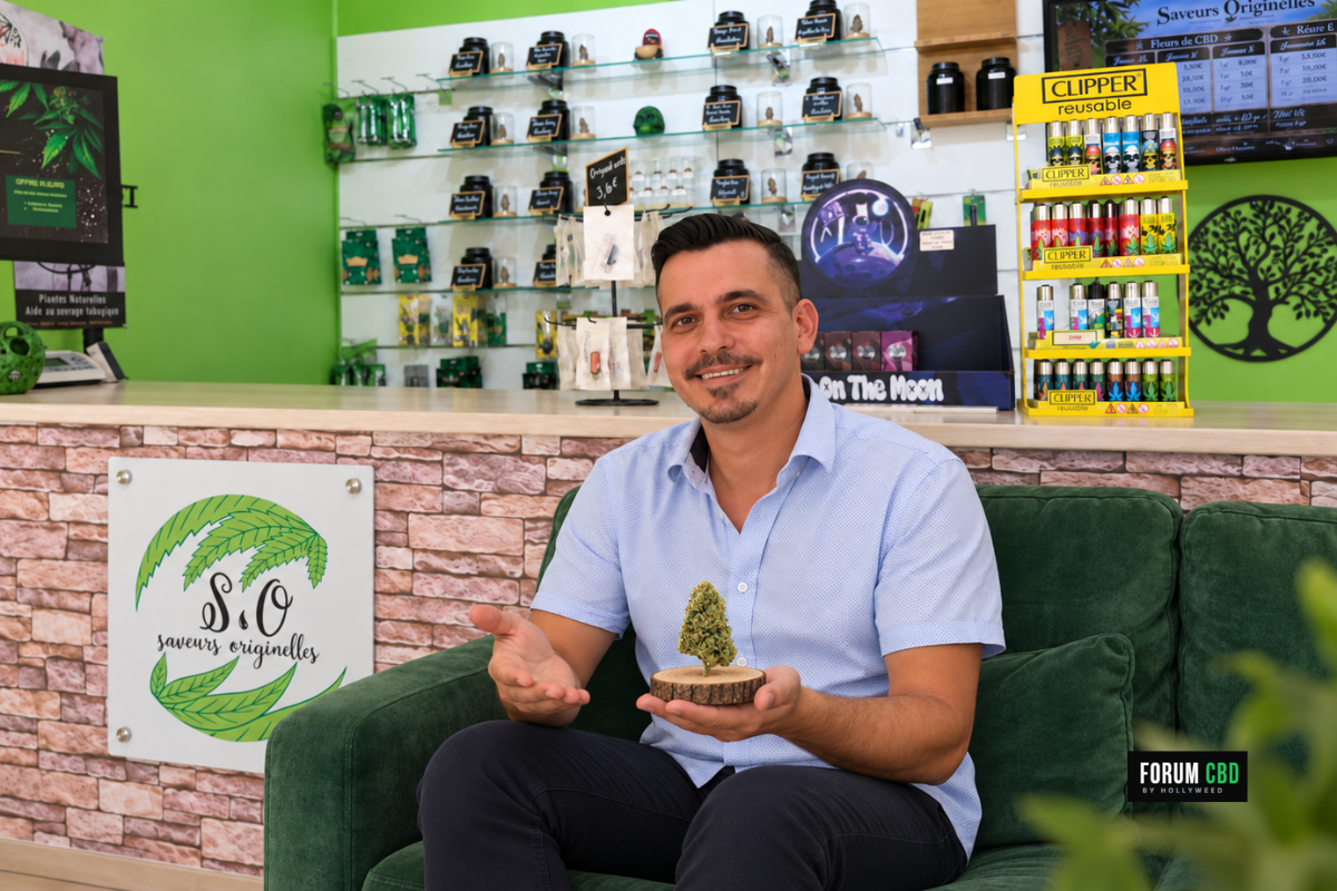 Mise en scène de Jimmy Boada dans un sofa vert, présentant la fleur CBD Mimosa Glasshouse sur un socle en bois chez Saveurs Originelles.