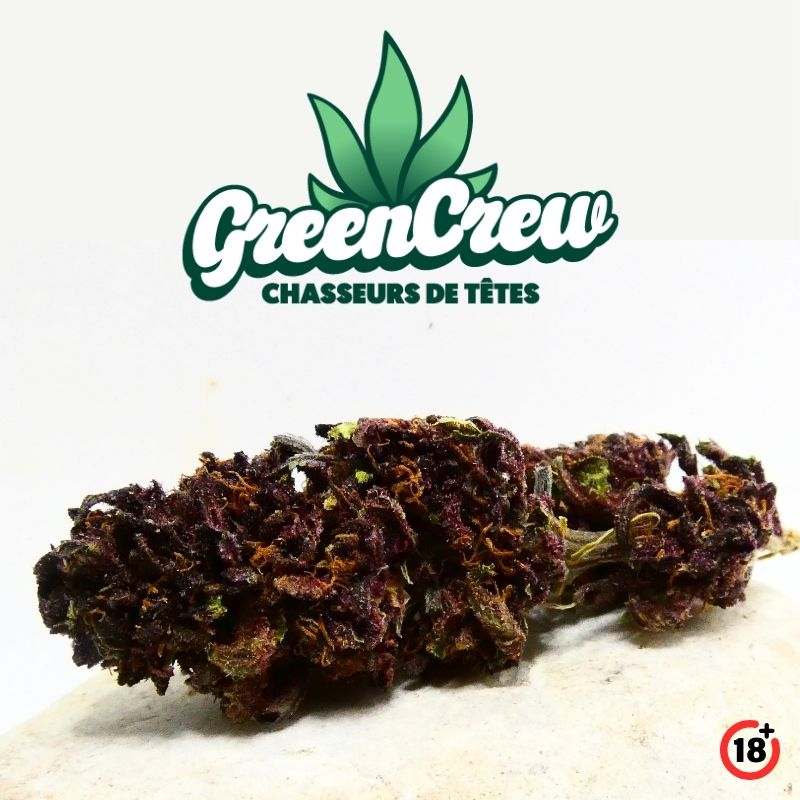Fleur Strawberry Doughnuts Purple CBD aux teintes violettes présentée par GreenCrew sur fond blanc.