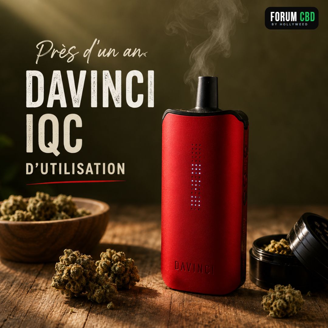 DaVinci IQC rouge après près d'un an d'utilisation, posé sur une table en bois avec des fleurs CBD et un grinder, illustrant mon retour d'expérience sur ce vaporisateur portable dédié à la vaporisation des fleurs de chanvre