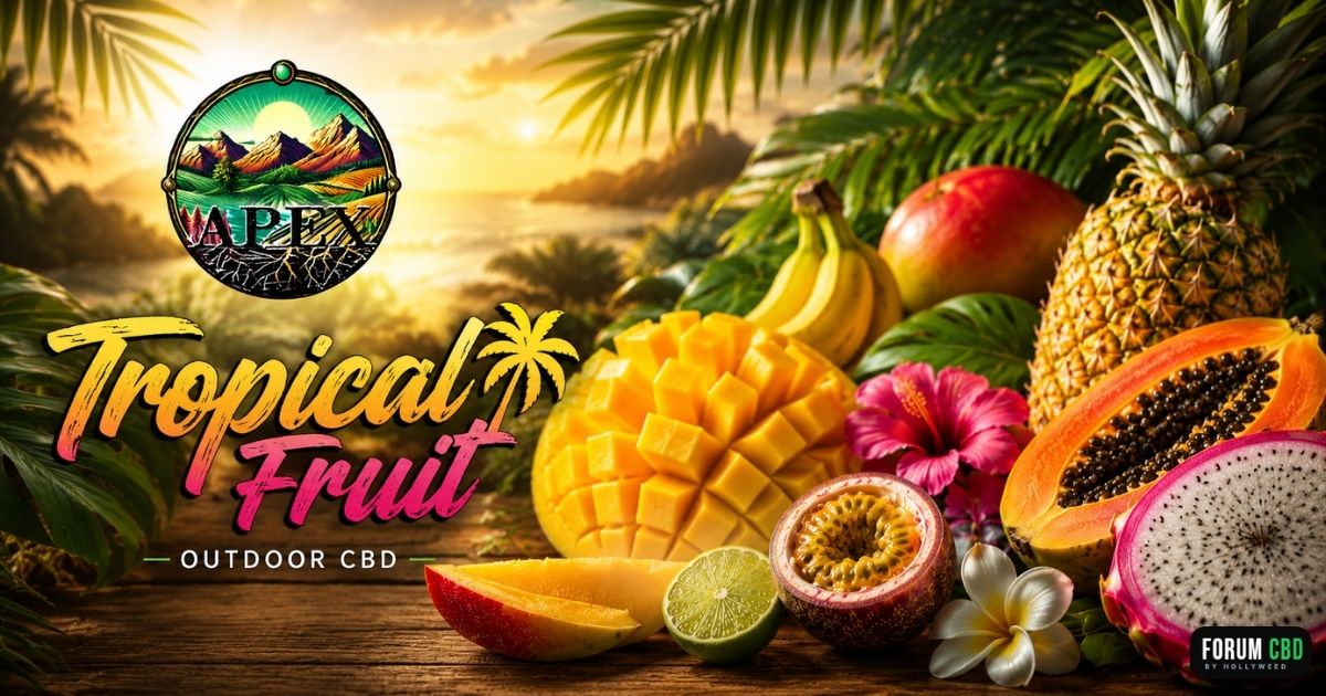 Image de couverture de la Tropical Fruit Outdoor de APEX CBD dans un univers tropical avec fruits exotiques et ambiance outdoor premium