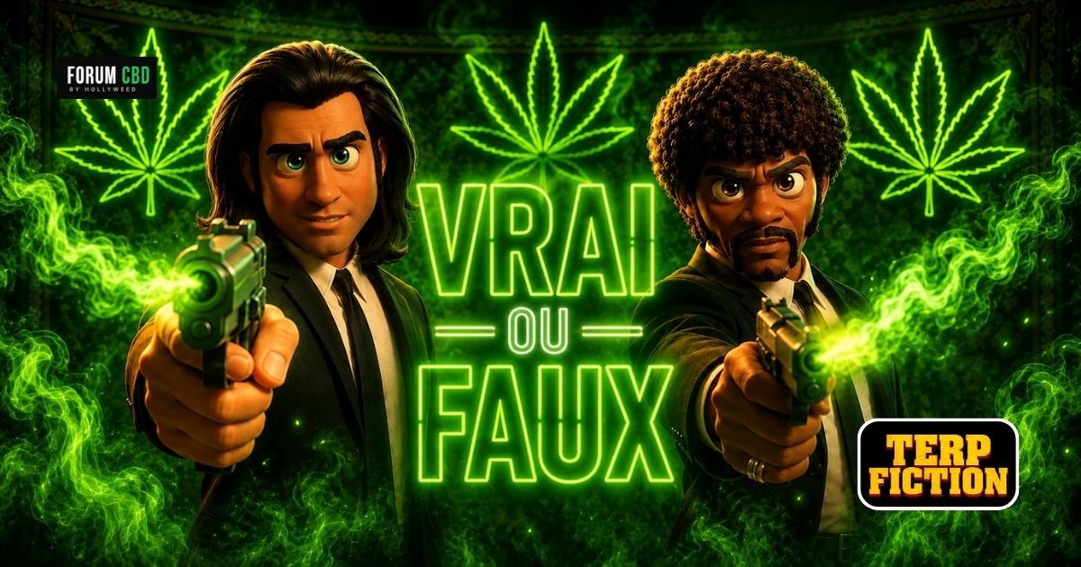 Visuel Vrai ou Faux du CBD avec deux personnages style cinéma néon vert, fumée et typo lumineuse « Vrai ou Faux » au centre pour un dossier sur les idées reçues du CBD.